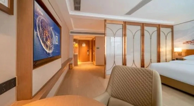 Люкс Business Vienna Hotel (Longli County High-speed Rail North Station)