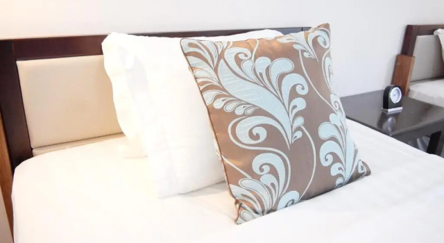 Двухместный номер Standard с балконом Luganvilla Business Hotel and Restaurant