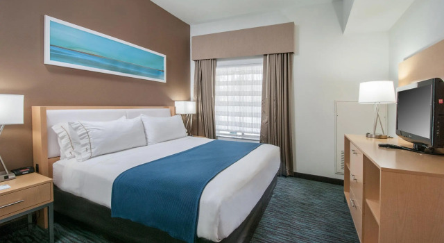 Двухместный люкс Holiday Inn Express Hotel & Suites San Antonio - Rivercenter Area by IHG