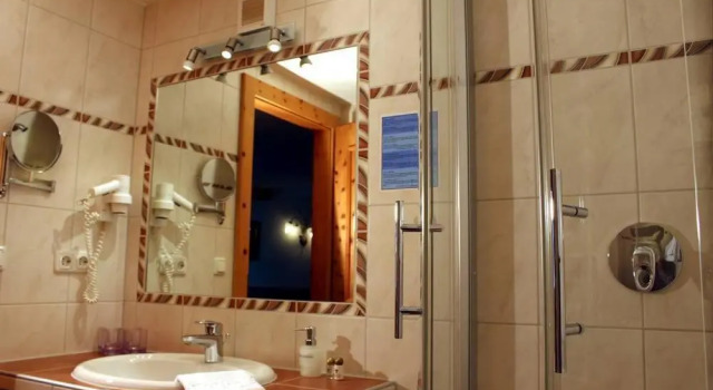 Номер Standard Hotel-Restaurant Edelweiẞ
