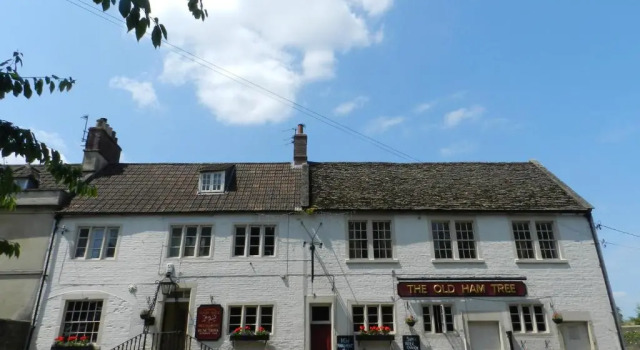The Old Ham Tree