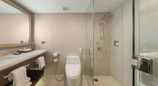 Двухместный номер Premier Dusit Thani Manila