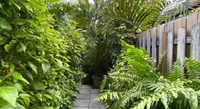 Апартаменты Welcoming Airbnb Walkig Distance to Las Olas Blvd
