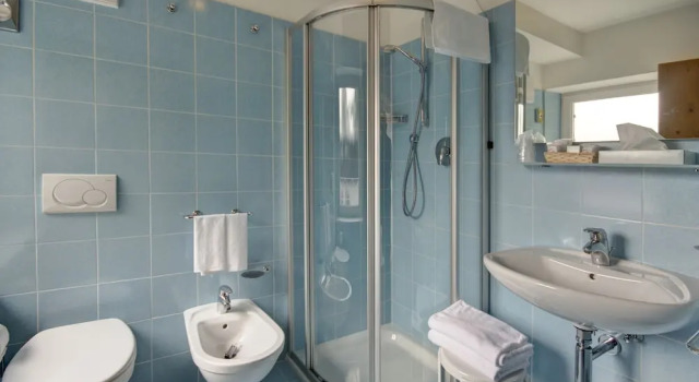 Одноместный номер Standard Hotel Des Alpes