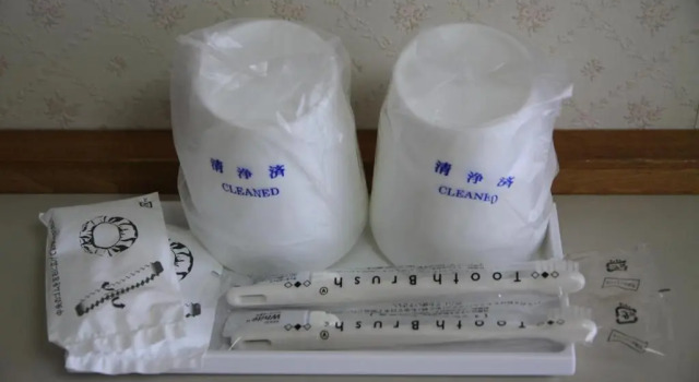 Трёхместный номер Standard Toyokawa Grand Hotel