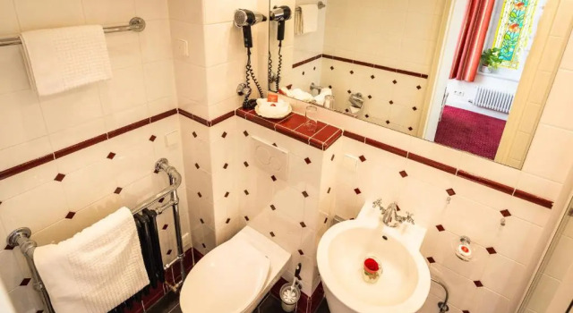 Одноместный номер Deluxe Hotel Seeufer