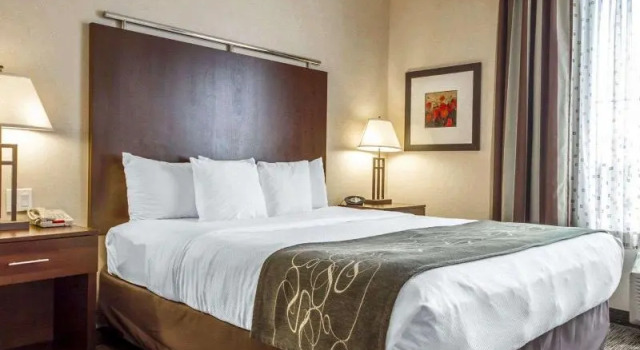 Номер Standard SpringHill Suites by Marriott Turlock