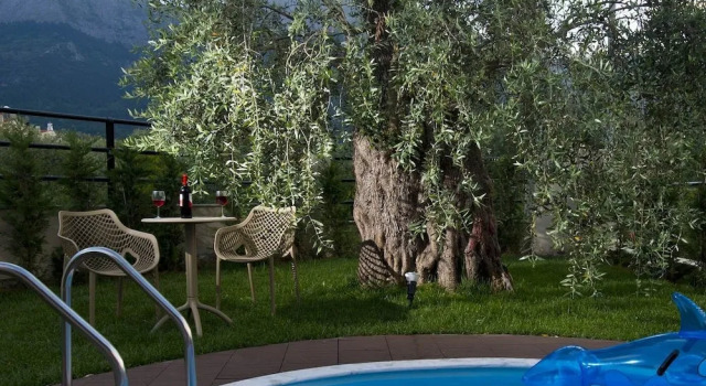 Люкс Superior Votsalo Suites