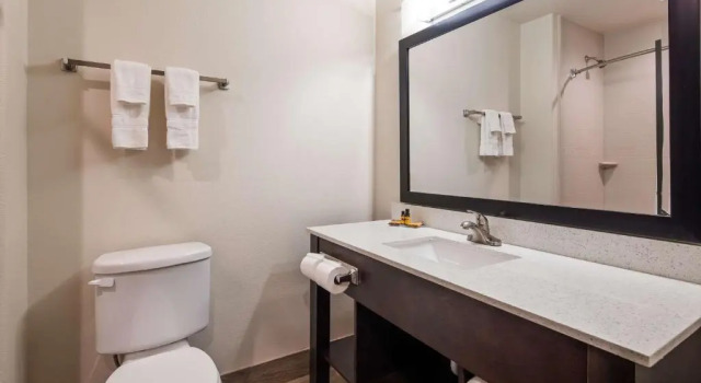 Люкс Deluxe Best Western Plus Ardmore Inn & Suites