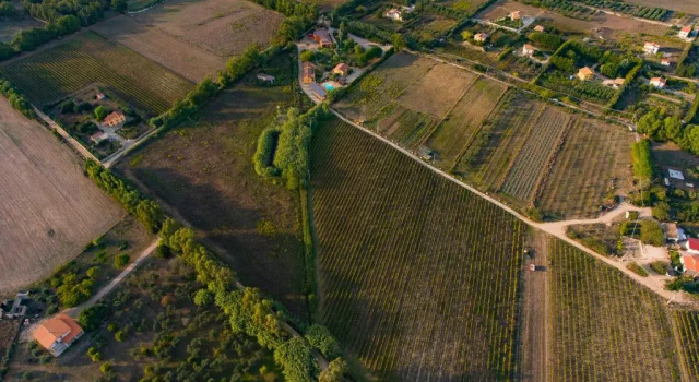 Апартаменты с 2 комнатами с видом на сад Agriturismo I Vigneti
