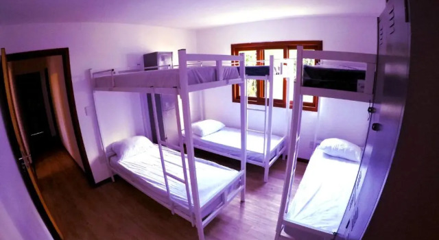 Кровать в общем номере Sea Wolf Surf Hostel Campeche