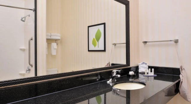 Люкс Fairfield Inn and Suites by Marriott Birmingham Pelham/I-65