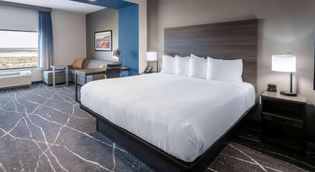 Двухместный номер Deluxe La Quinta Inn & Suites by Wyndham Holbrook Petrified Forest