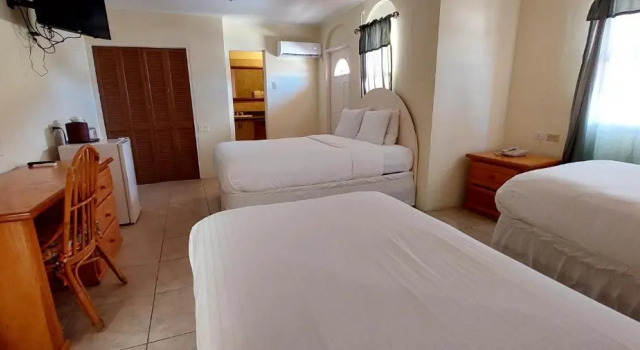 Трёхместный номер Standard Seaview Beach Hotel