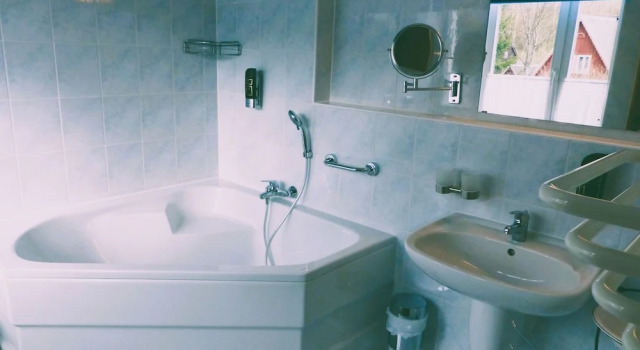 Двухместный люкс Luxury Hotel Seiffener Hof***