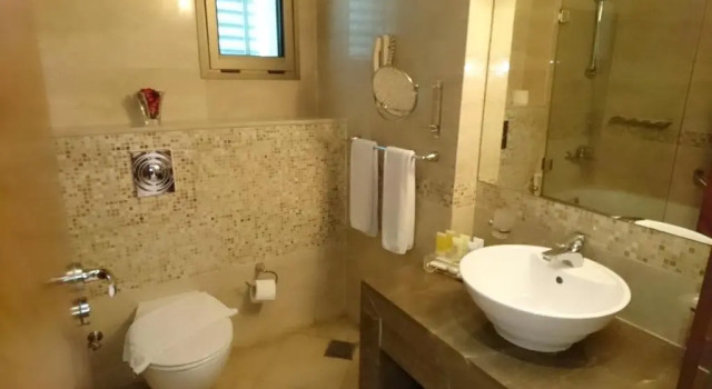 Двухместный номер Deluxe King Suites Hotel