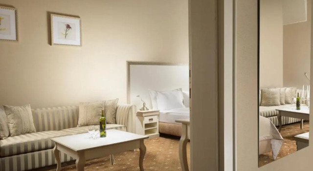 Номер Standard Hotel Gino Park Palace - Kaštieľ Orlové