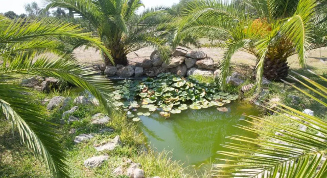 Вилла 5 Stars Villas