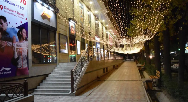 Apartment Kievskaya 114/2
