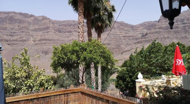 Апартаменты Finca Tomás y Puri