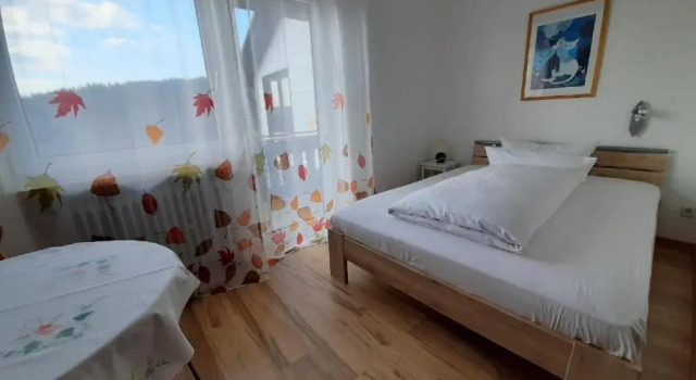 Одноместный номер Standard с балконом Hotel Pension Anke
