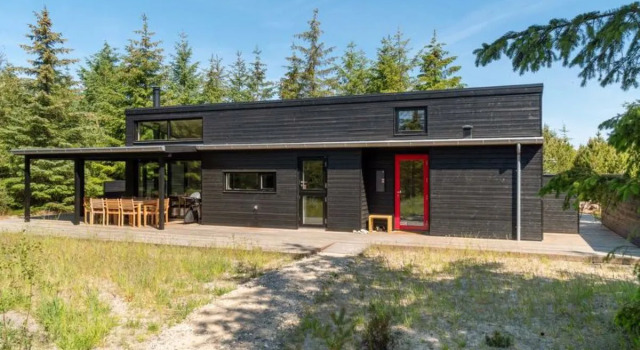 "Gunnor" - 1.3km from the sea in NW Jutland