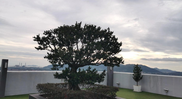 Coco HomeStay 旅人の家@The Venus Sitiawan Perak, Prenota Hotel Sitiawan Perak