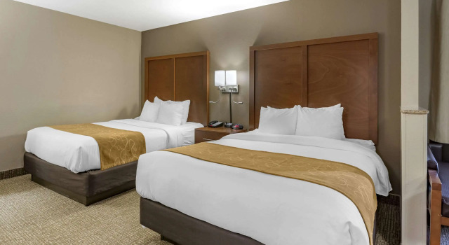 Четырёхместный номер Business Comfort Suites Coralville I-80