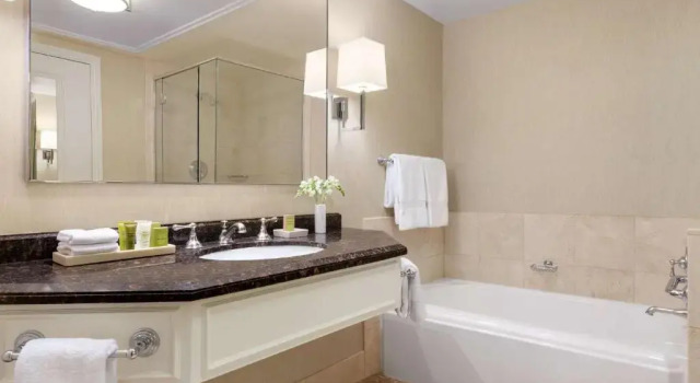 Двухместный люкс c 1 комнатой с красивым видом из окна Signia by Hilton San Jose