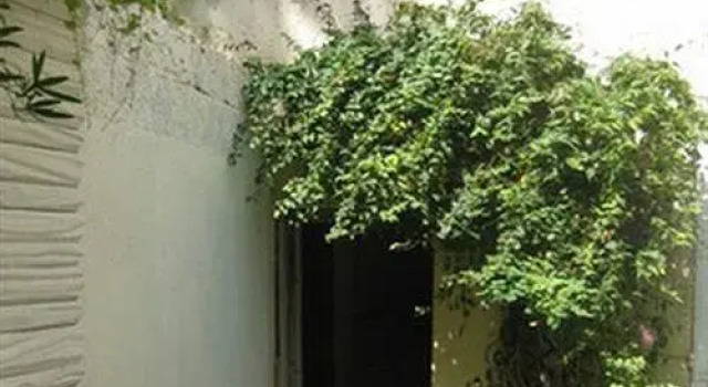 Vacation Rental Saint Jacques