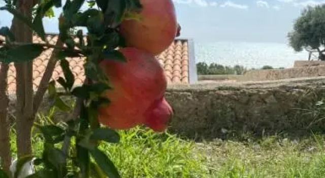 Appartamenti Al Canneto, Book Apartment Hotels in Sicily with Parking, Parking