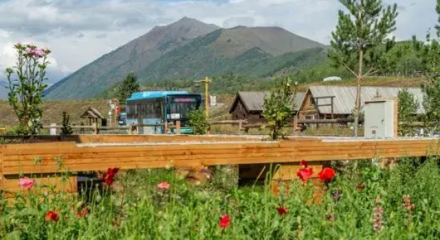 Hemu Lemon Tree Yashe, Rezerwuj Hotel Burqin Xinjiang