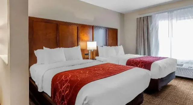 Четырёхместный номер Standard Comfort Suites