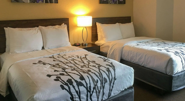 Четырёхместный номер Standard Sleep Inn Florence North
