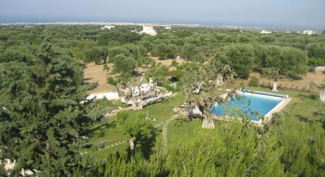 Номер Executive Masseria Due Torri