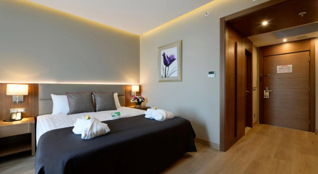 Двухместный номер Standard с видом на город Holiday Inn Bursa - City Centre by IHG
