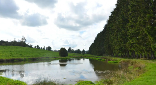 Gite With Lake View