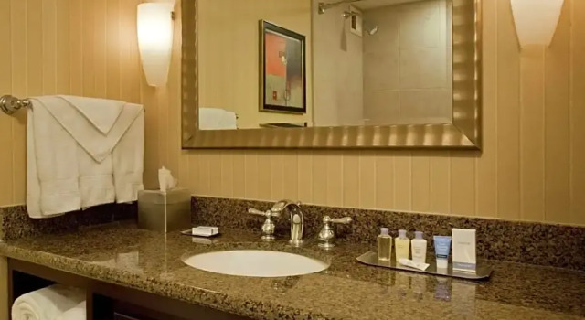 Номер с балконом DoubleTree by Hilton Hotel Syracuse