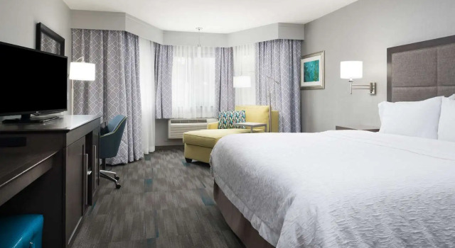 Номер Standard Hampton Inn Monterey