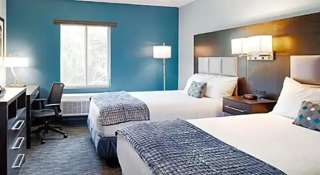 Люкс Iris Garden Inn