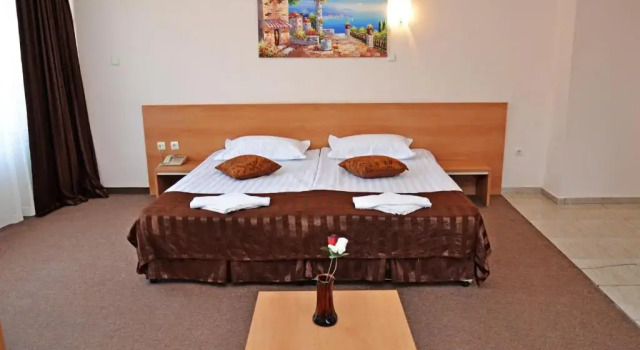 Двухместный номер Standard с балконом Hotel Central