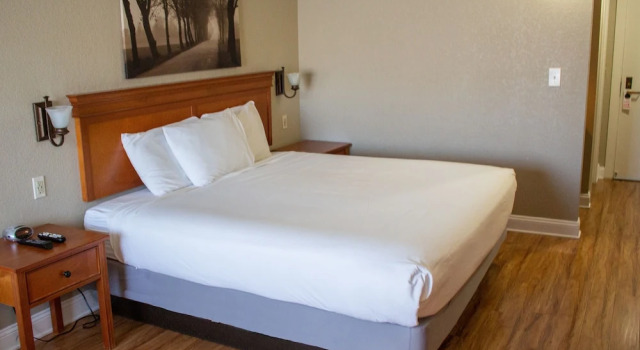 Номер Executive Stratford Inn