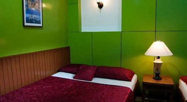 Номер Standard Bamboo Garden Business Inn