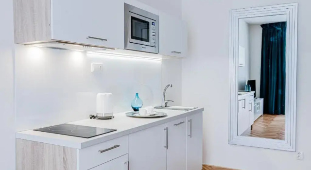 Апартаменты Superior Gold Art Apartments