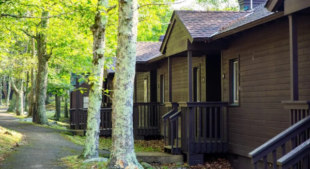Двухместный номер Standard Big Meadows Lodge