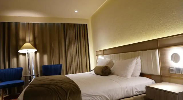 Двухместный номер Standard Regent Plaza Hotel & Convention Centre