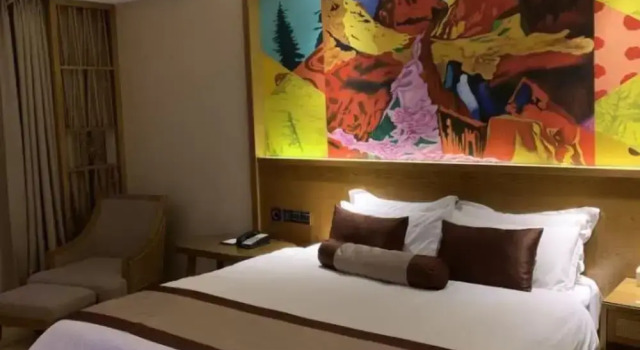 Двухместный номер Deluxe Wanyi Lijing Hotel Guiyang Huaxi Park