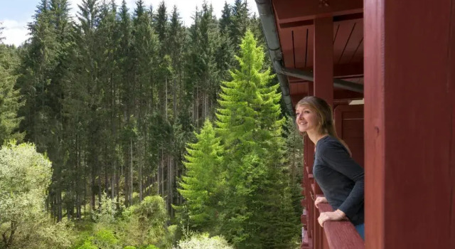 Двухместный номер Standard Alpenhotel Weitlanbrunn