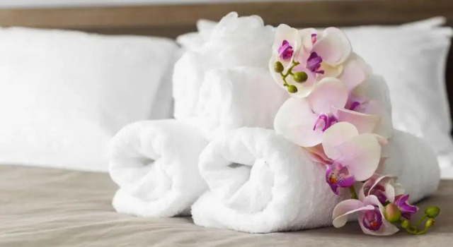 Номер Standard Express Inn Newport News