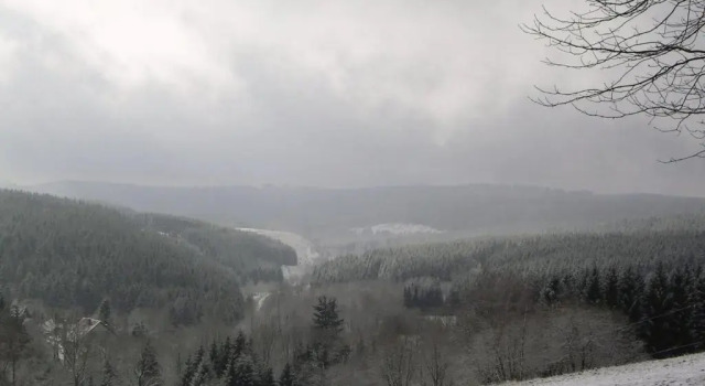 Апартаменты Ferienwohnung im Harz-Haus-Bruns